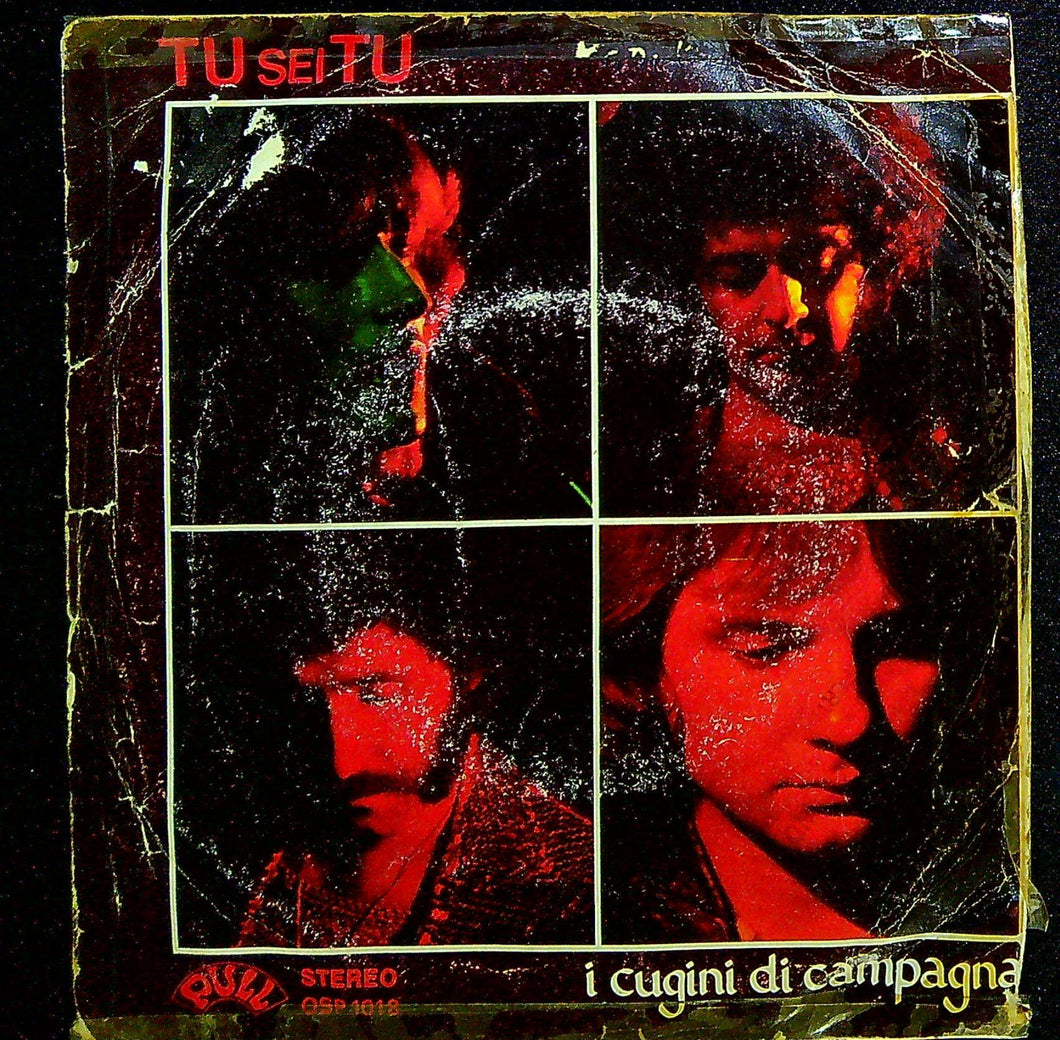 45 giri - Cugini Di Campagna ? Tu Sei Tu